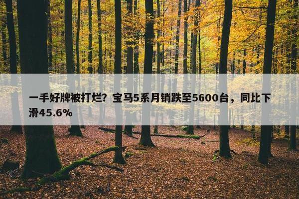 一手好牌被打烂？宝马5系月销跌至5600台，同比下滑45.6%