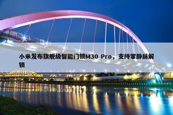 小米发布旗舰级智能门锁M30 Pro，支持掌静脉解锁