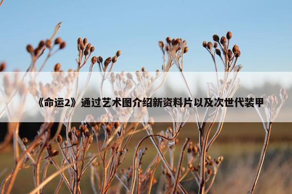 《命运2》通过艺术图介绍新资料片以及次世代装甲