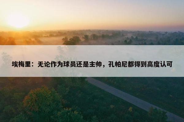 埃梅里：无论作为球员还是主帅，孔帕尼都得到高度认可