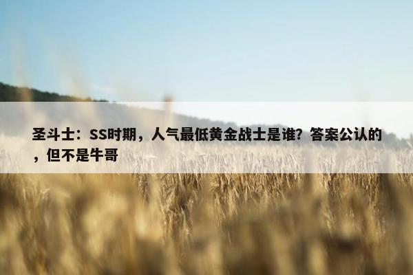 圣斗士：SS时期，人气最低黄金战士是谁？答案公认的，但不是牛哥