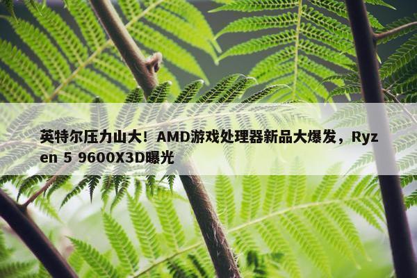 英特尔压力山大！AMD游戏处理器新品大爆发，Ryzen 5 9600X3D曝光