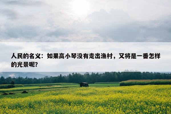 人民的名义：如果高小琴没有走出渔村，又将是一番怎样的光景呢？