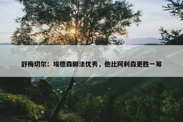 舒梅切尔：埃德森脚法优秀，他比阿利森更胜一筹