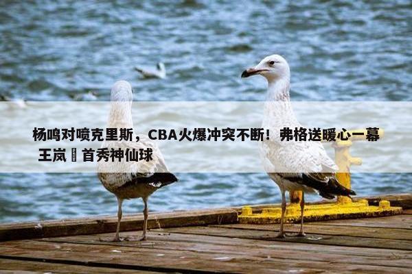 杨鸣对喷克里斯，CBA火爆冲突不断！弗格送暖心一幕 王岚嵚首秀神仙球