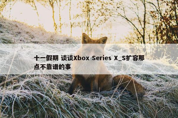 十一假期 谈谈Xbox Series X_S扩容那点不靠谱的事