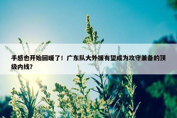 手感也开始回暖了！广东队大外援有望成为攻守兼备的顶级内线？