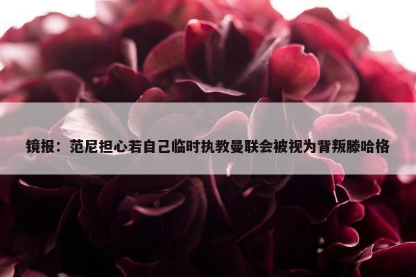 镜报：范尼担心若自己临时执教曼联会被视为背叛滕哈格