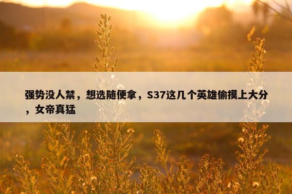 强势没人禁，想选随便拿，S37这几个英雄偷摸上大分，女帝真猛