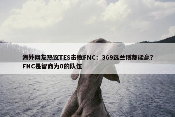 海外网友热议TES击败FNC：369选兰博都能赢？FNC是智商为0的队伍