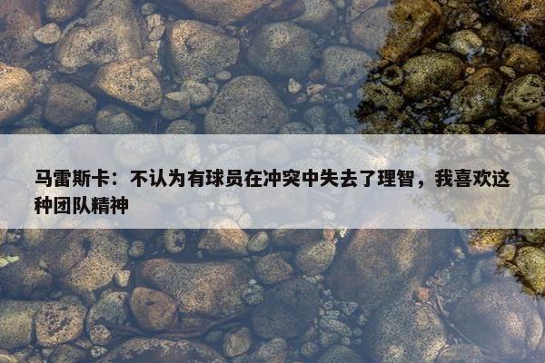 马雷斯卡：不认为有球员在冲突中失去了理智，我喜欢这种团队精神