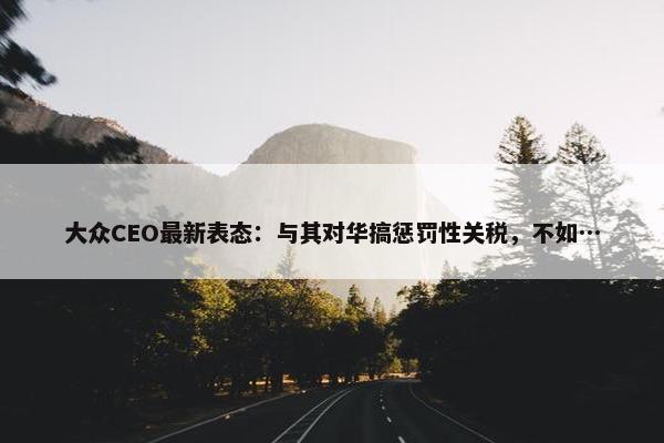 大众CEO最新表态：与其对华搞惩罚性关税，不如…