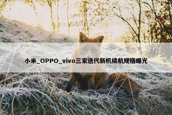 小米_OPPO_vivo三家迭代新机续航规格曝光