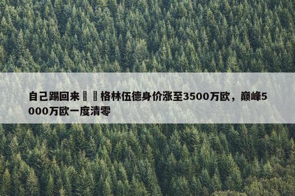 自己踢回来❗️格林伍德身价涨至3500万欧，巅峰5000万欧一度清零