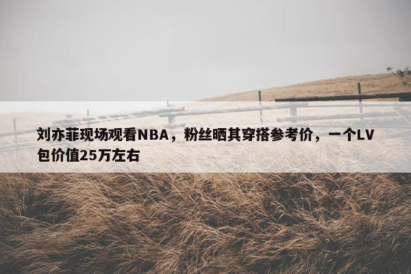 刘亦菲现场观看NBA，粉丝晒其穿搭参考价，一个LV包价值25万左右