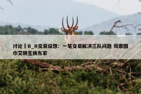 讨论 B_R交易设想：一笔交易解决三队问题 莺歌围巾艾顿互换东家