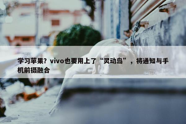 学习苹果？vivo也要用上了“灵动岛”，将通知与手机前摄融合