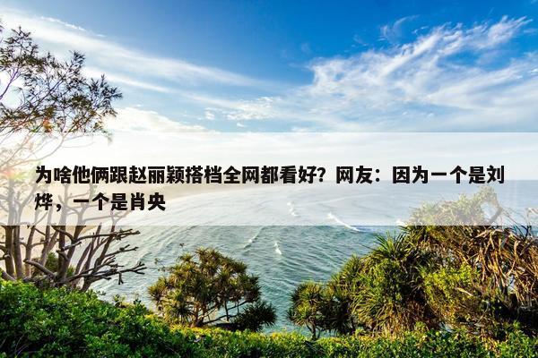 为啥他俩跟赵丽颖搭档全网都看好？网友：因为一个是刘烨，一个是肖央