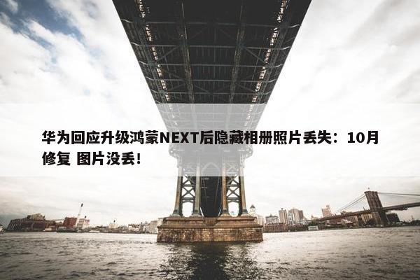 华为回应升级鸿蒙NEXT后隐藏相册照片丢失：10月修复 图片没丢！