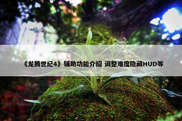 《龙腾世纪4》辅助功能介绍 调整难度隐藏HUD等