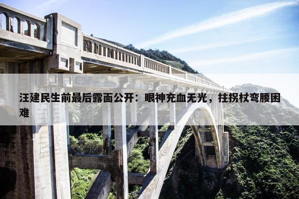 汪建民生前最后露面公开：眼神充血无光，拄拐杖弯腰困难