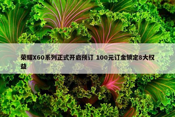 荣耀X60系列正式开启预订 100元订金锁定8大权益