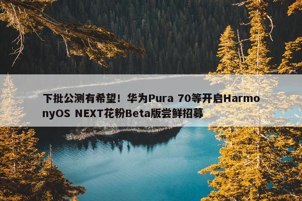 下批公测有希望！华为Pura 70等开启HarmonyOS NEXT花粉Beta版尝鲜招募