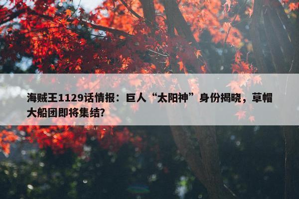 海贼王1129话情报：巨人“太阳神”身份揭晓，草帽大船团即将集结？