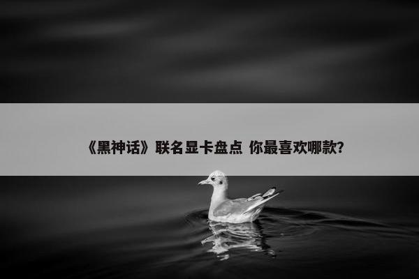 《黑神话》联名显卡盘点 你最喜欢哪款？