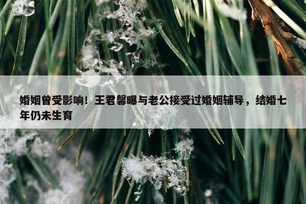 婚姻曾受影响！王君馨曝与老公接受过婚姻辅导，结婚七年仍未生育