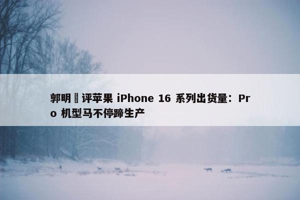 郭明錤评苹果 iPhone 16 系列出货量：Pro 机型马不停蹄生产