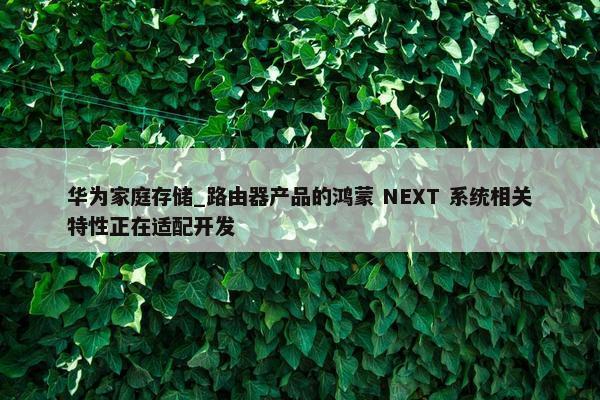 华为家庭存储_路由器产品的鸿蒙 NEXT 系统相关特性正在适配开发