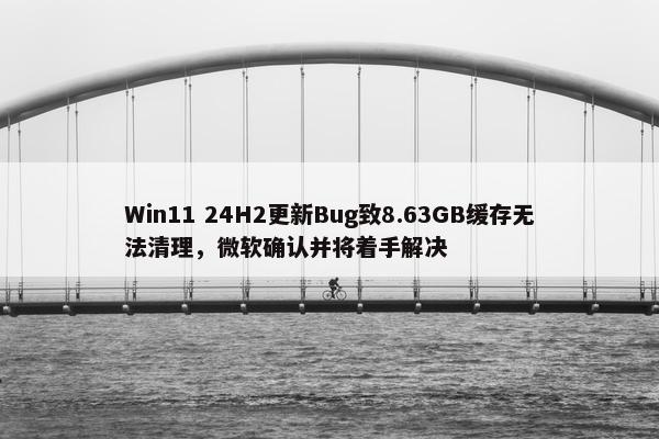 Win11 24H2更新Bug致8.63GB缓存无法清理，微软确认并将着手解决