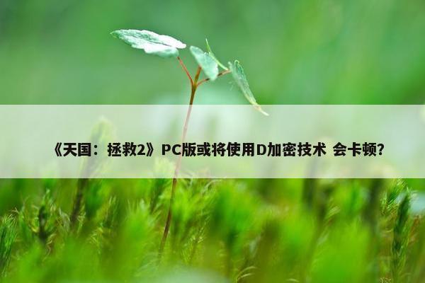 《天国：拯救2》PC版或将使用D加密技术 会卡顿？