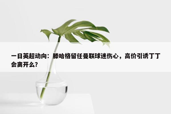 一日英超动向：滕哈格留任曼联球迷伤心，高价引诱丁丁会离开么？