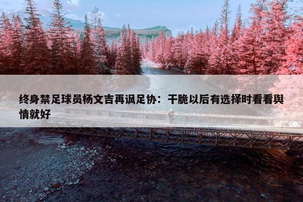 终身禁足球员杨文吉再讽足协：干脆以后有选择时看看舆情就好