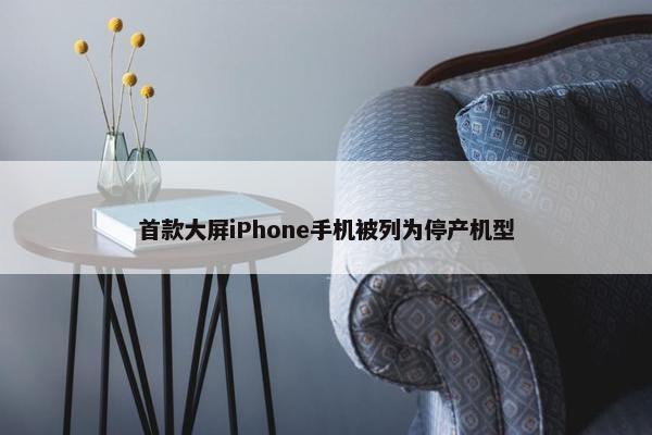 首款大屏iPhone手机被列为停产机型