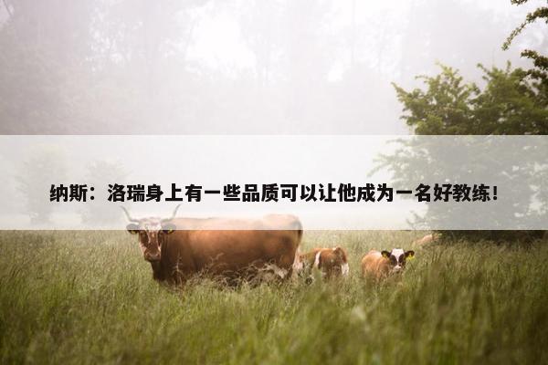 纳斯：洛瑞身上有一些品质可以让他成为一名好教练！