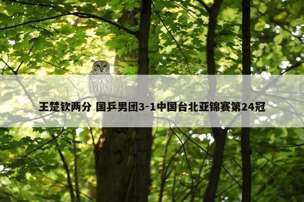 王楚钦两分 国乒男团3-1中国台北亚锦赛第24冠