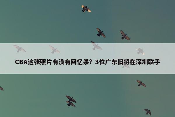 CBA这张照片有没有回忆杀？3位广东旧将在深圳联手