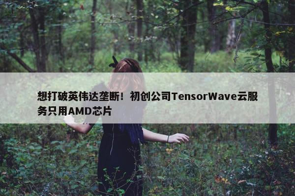 想打破英伟达垄断！初创公司TensorWave云服务只用AMD芯片