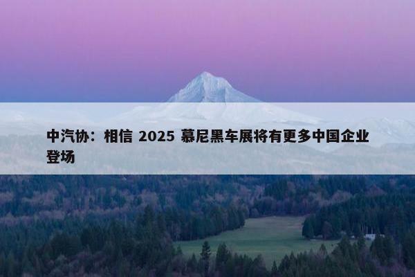 中汽协：相信 2025 慕尼黑车展将有更多中国企业登场