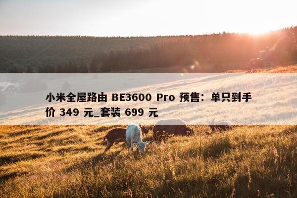 小米全屋路由 BE3600 Pro 预售：单只到手价 349 元_套装 699 元