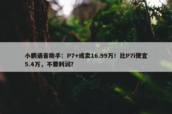 小鹏语音助手：P7+或卖16.99万！比P7i便宜5.4万，不要利润？