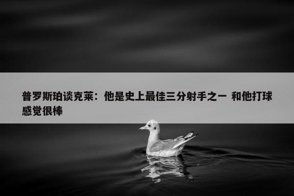 普罗斯珀谈克莱：他是史上最佳三分射手之一 和他打球感觉很棒