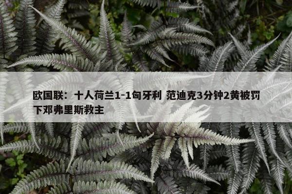 欧国联：十人荷兰1-1匈牙利 范迪克3分钟2黄被罚下邓弗里斯救主