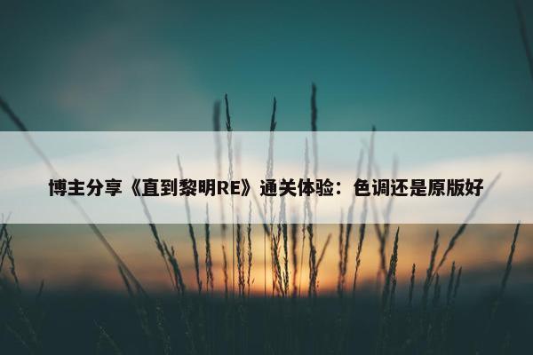 博主分享《直到黎明RE》通关体验：色调还是原版好