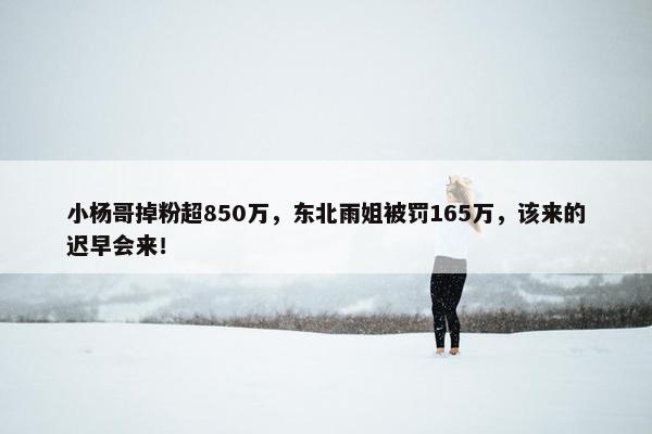 小杨哥掉粉超850万，东北雨姐被罚165万，该来的迟早会来！