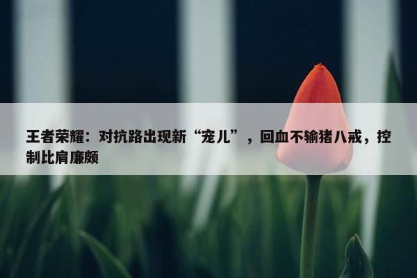 王者荣耀：对抗路出现新“宠儿”，回血不输猪八戒，控制比肩廉颇