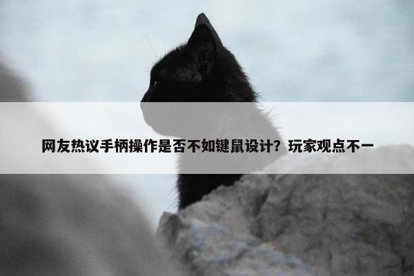 网友热议手柄操作是否不如键鼠设计？玩家观点不一